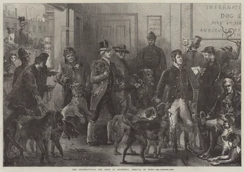 The International Dog Show at Islington, Arrival of Dogs